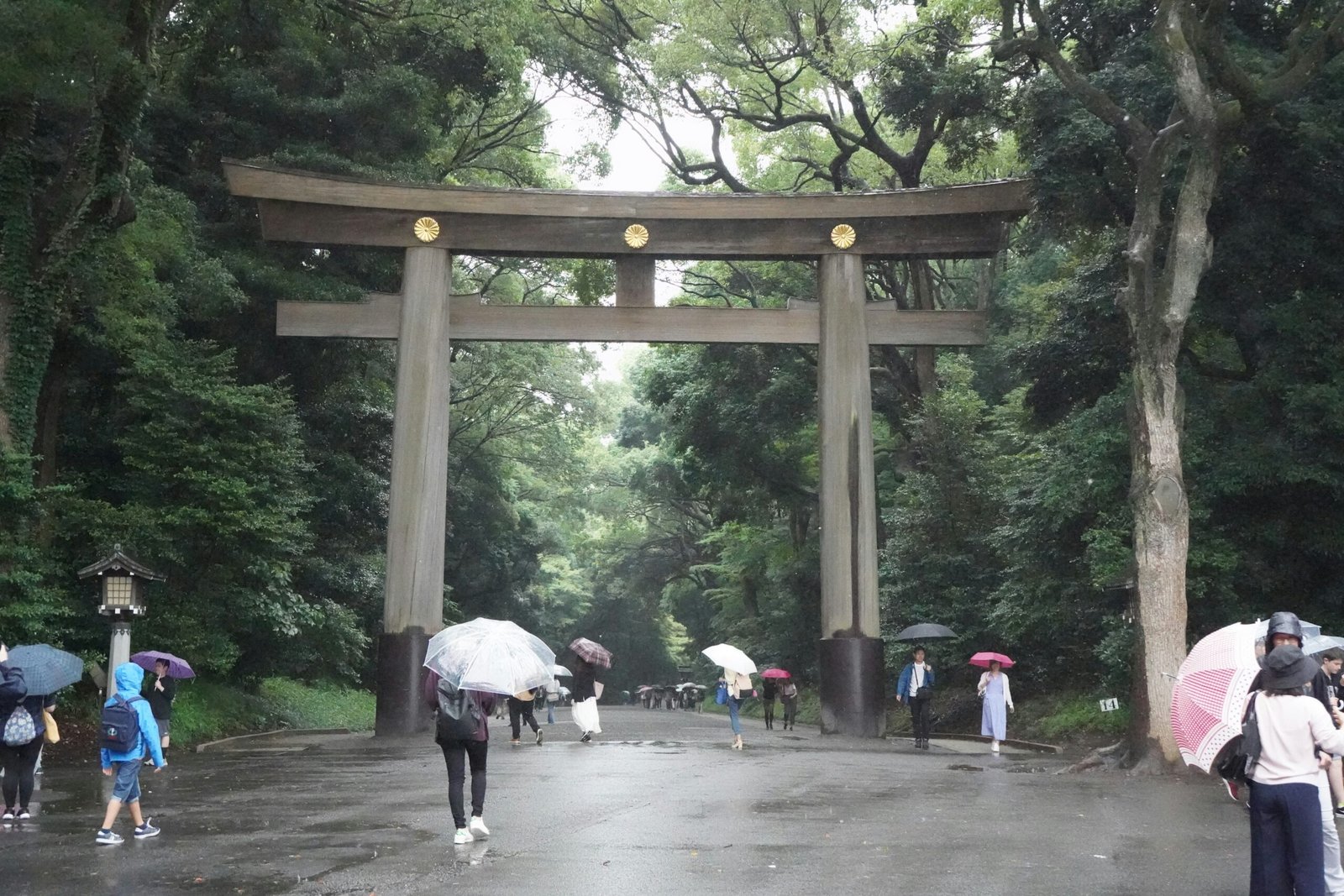 12 Best Travel Insurance Plans for Japan