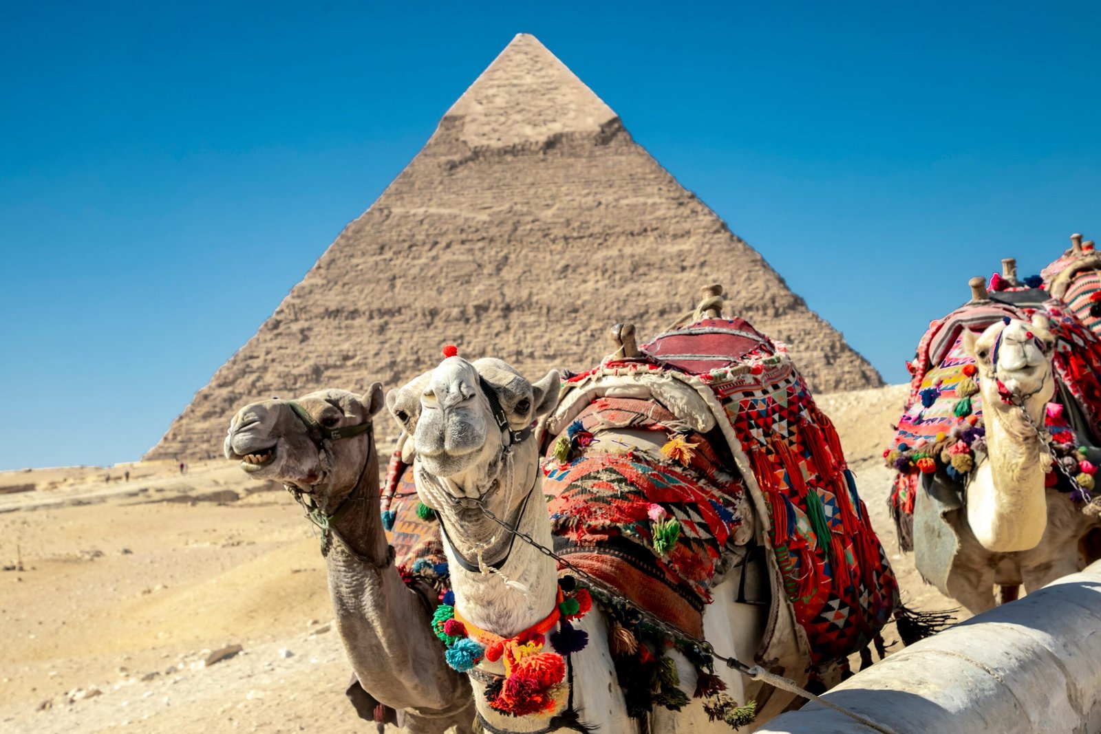 Best Travel Insurance Plans for Egypt