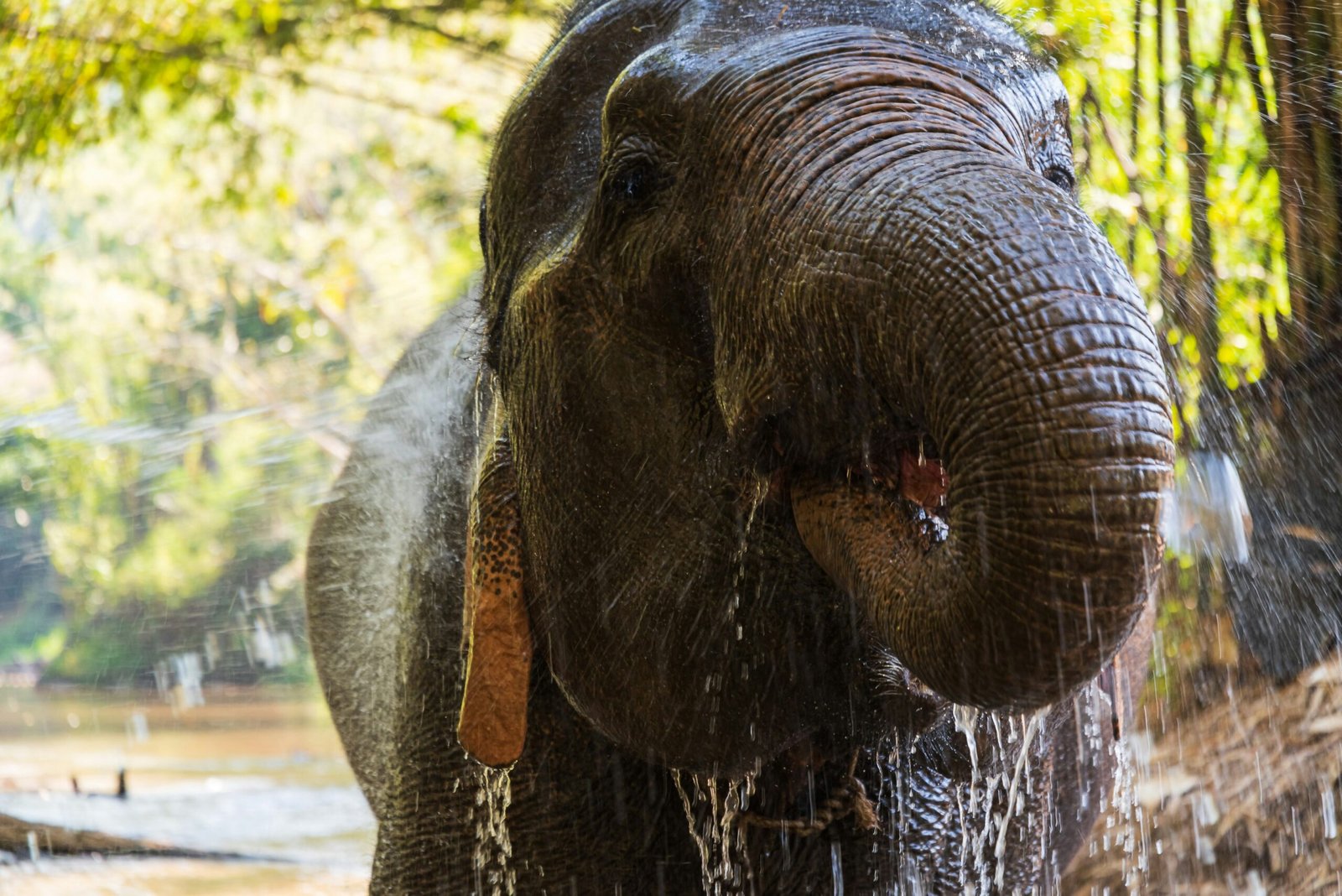 20 Best Things to Do in Thailand