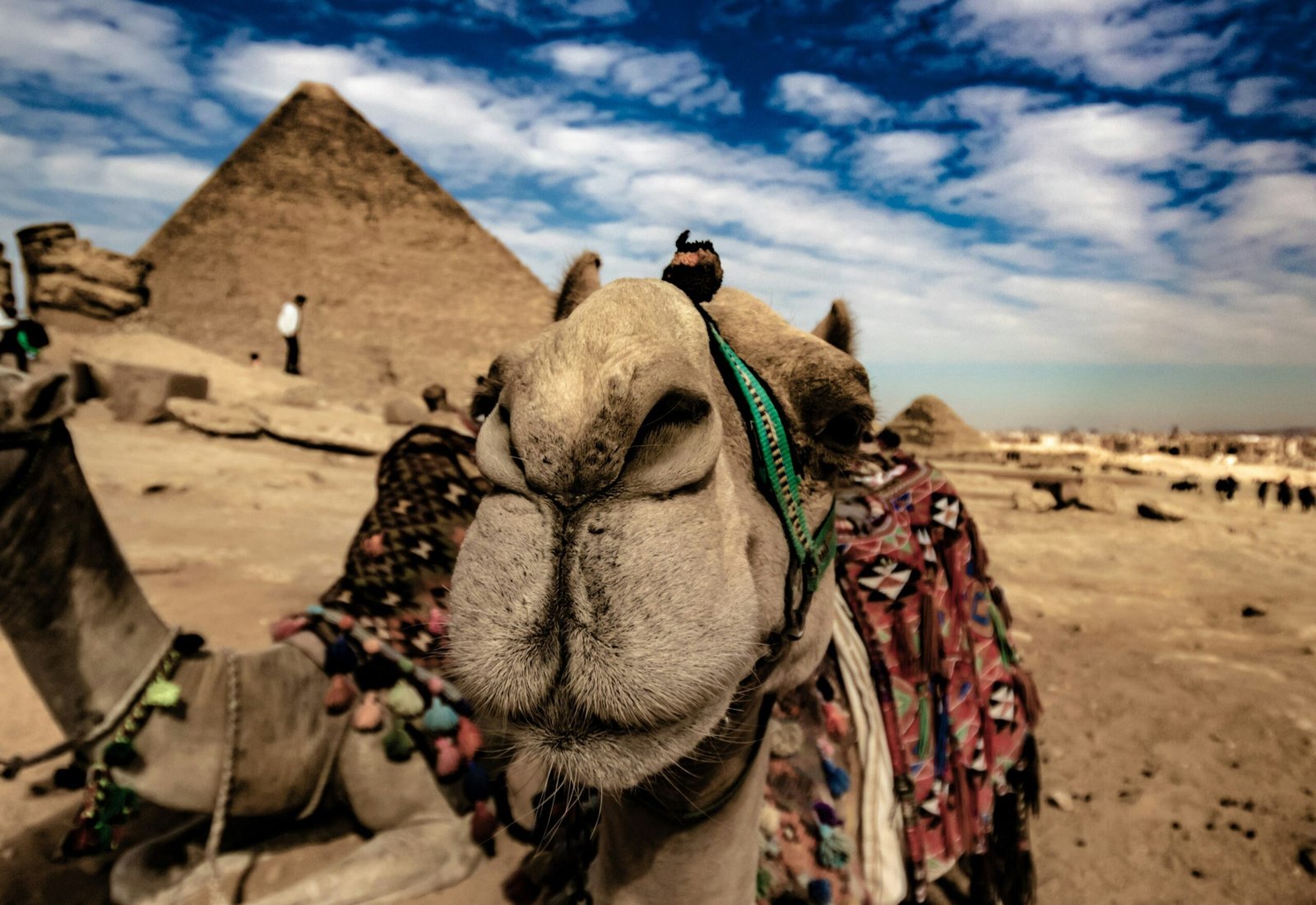 12 Best Travel Insurance Plans for Egypt