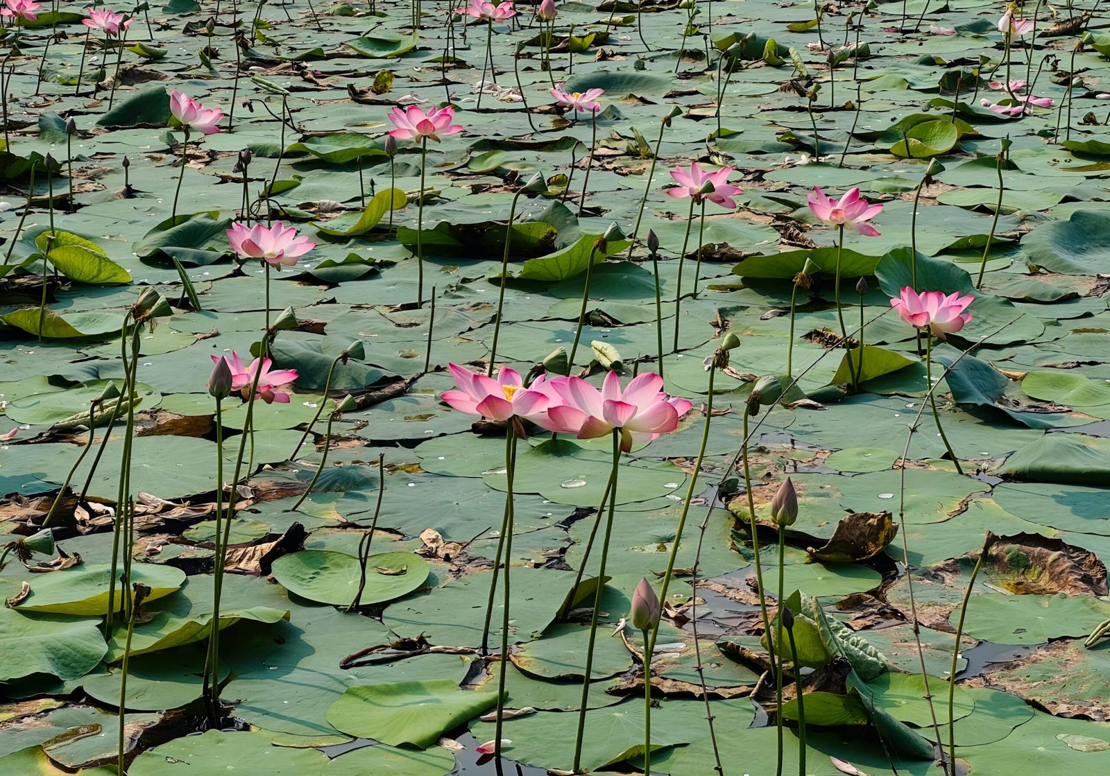 20 Best Things to Do in Thailand