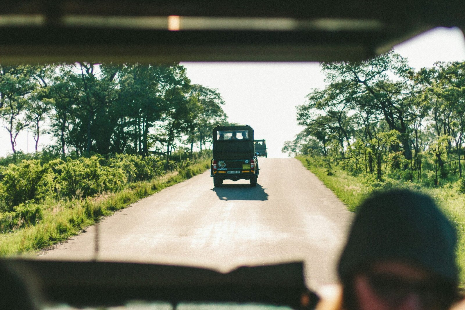 Best Things to Do in South Africa