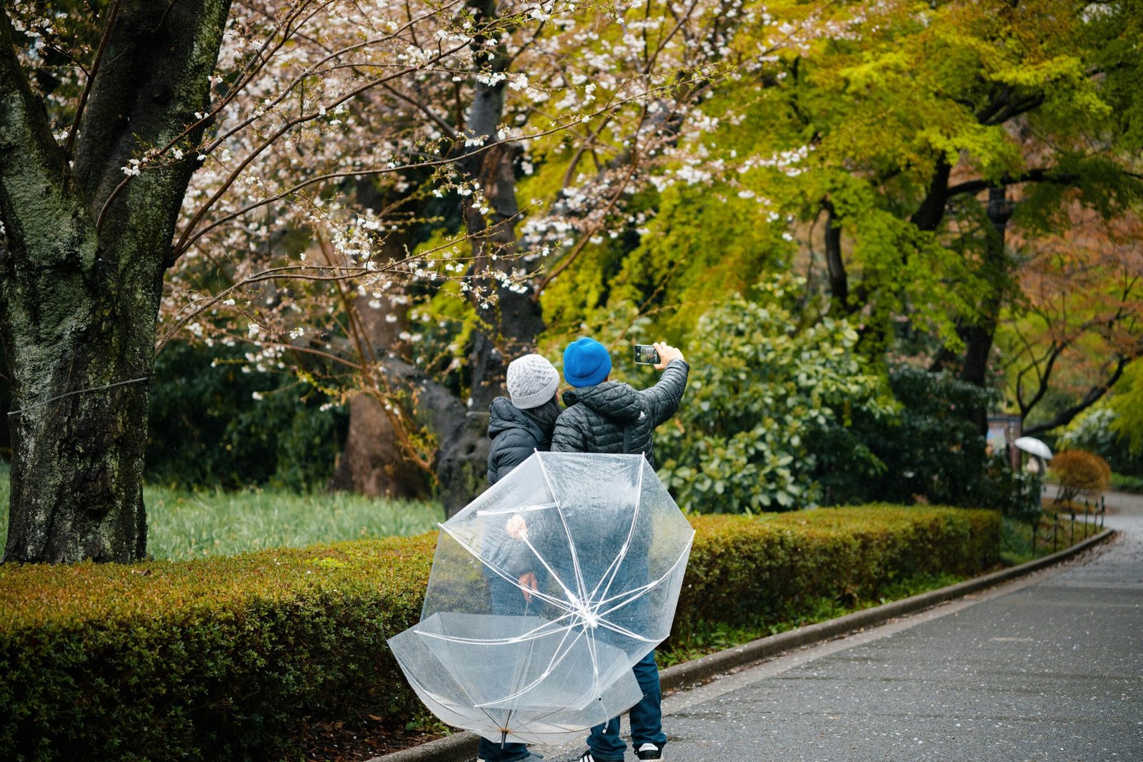 Top 10 Places to See Cherry Blossoms in Japan