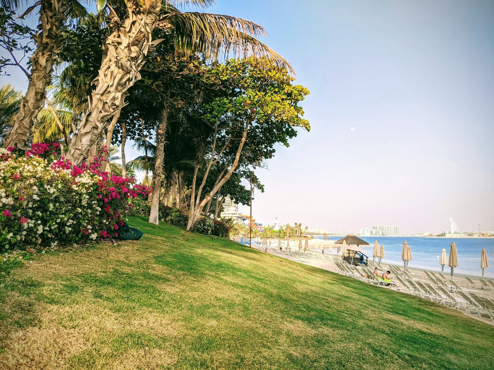 Best Travel Insurance Plans for UAE