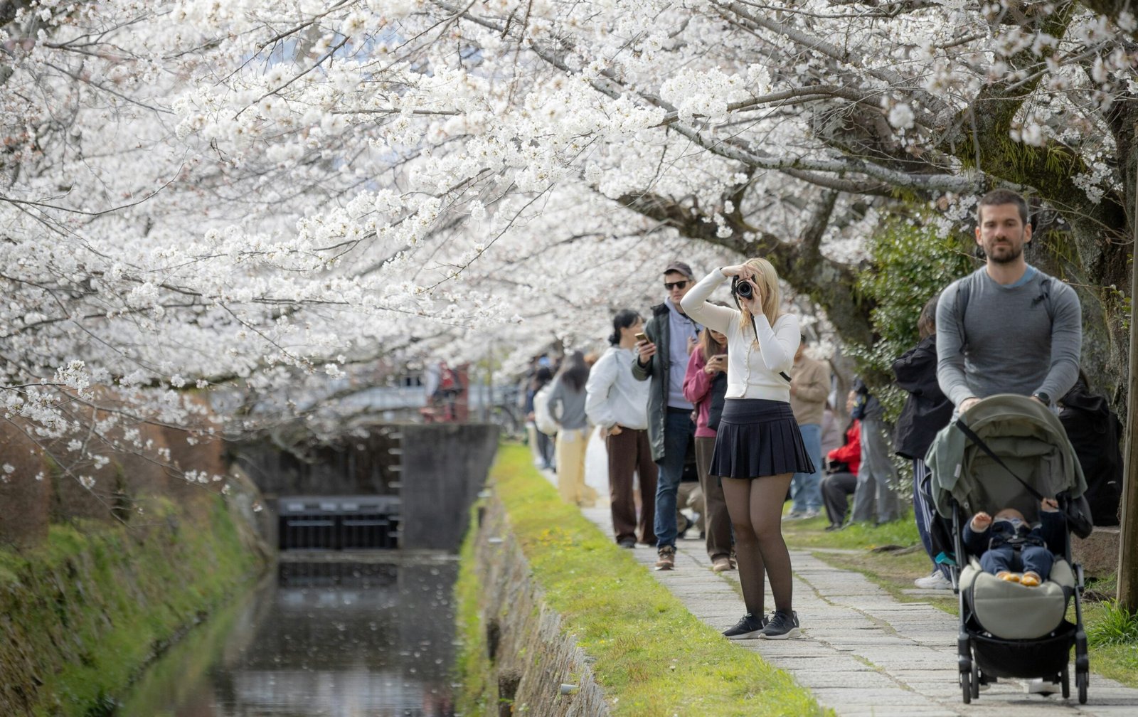 Top 10 Places to See Cherry Blossoms in Japan