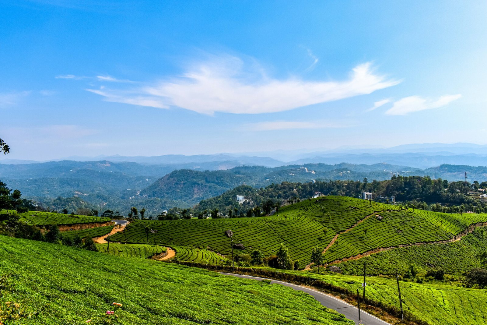 10 Best Things to Do in Kerala, India