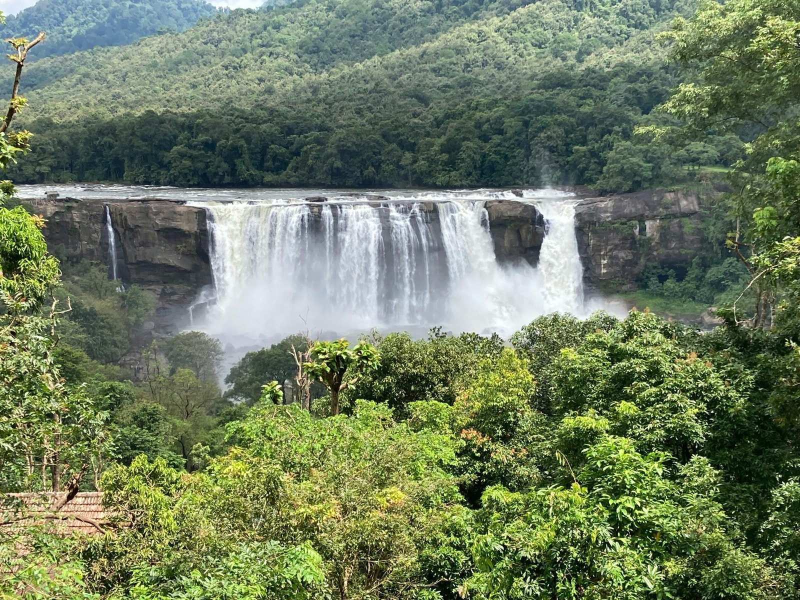 10 Best Things to Do in Kerala, India