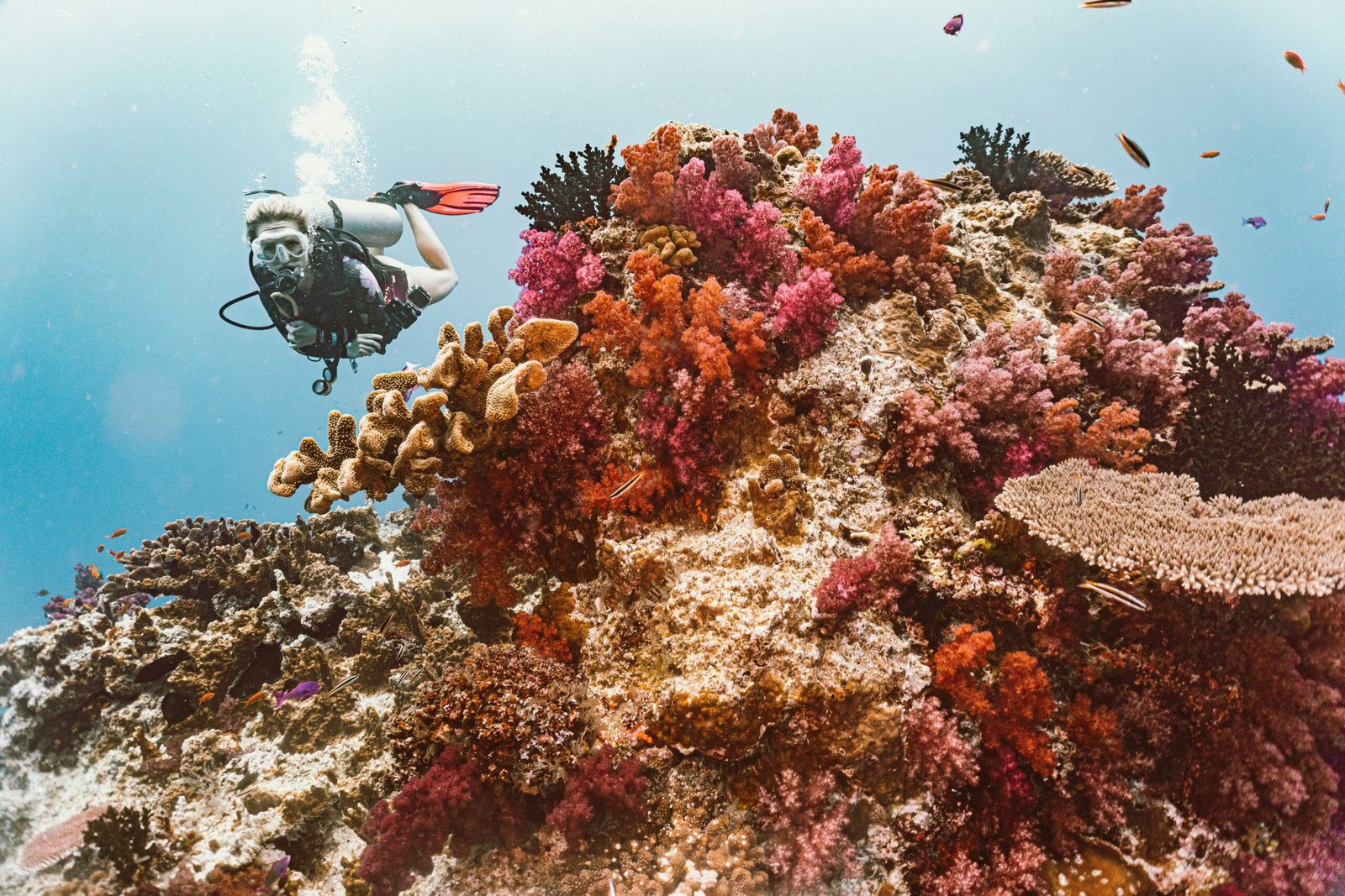 10 Remote Islands for a Real Break