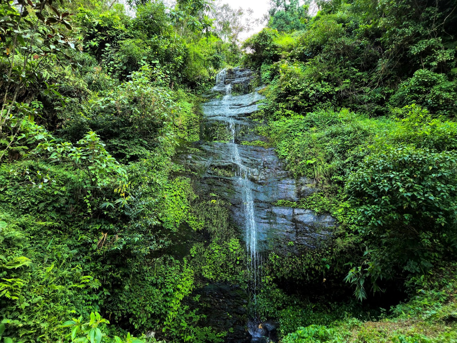 10 Top Attractions to Explore in Darjeeling