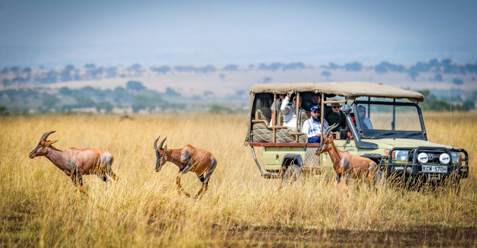 Best Places to Spot the Big 5 in Africa