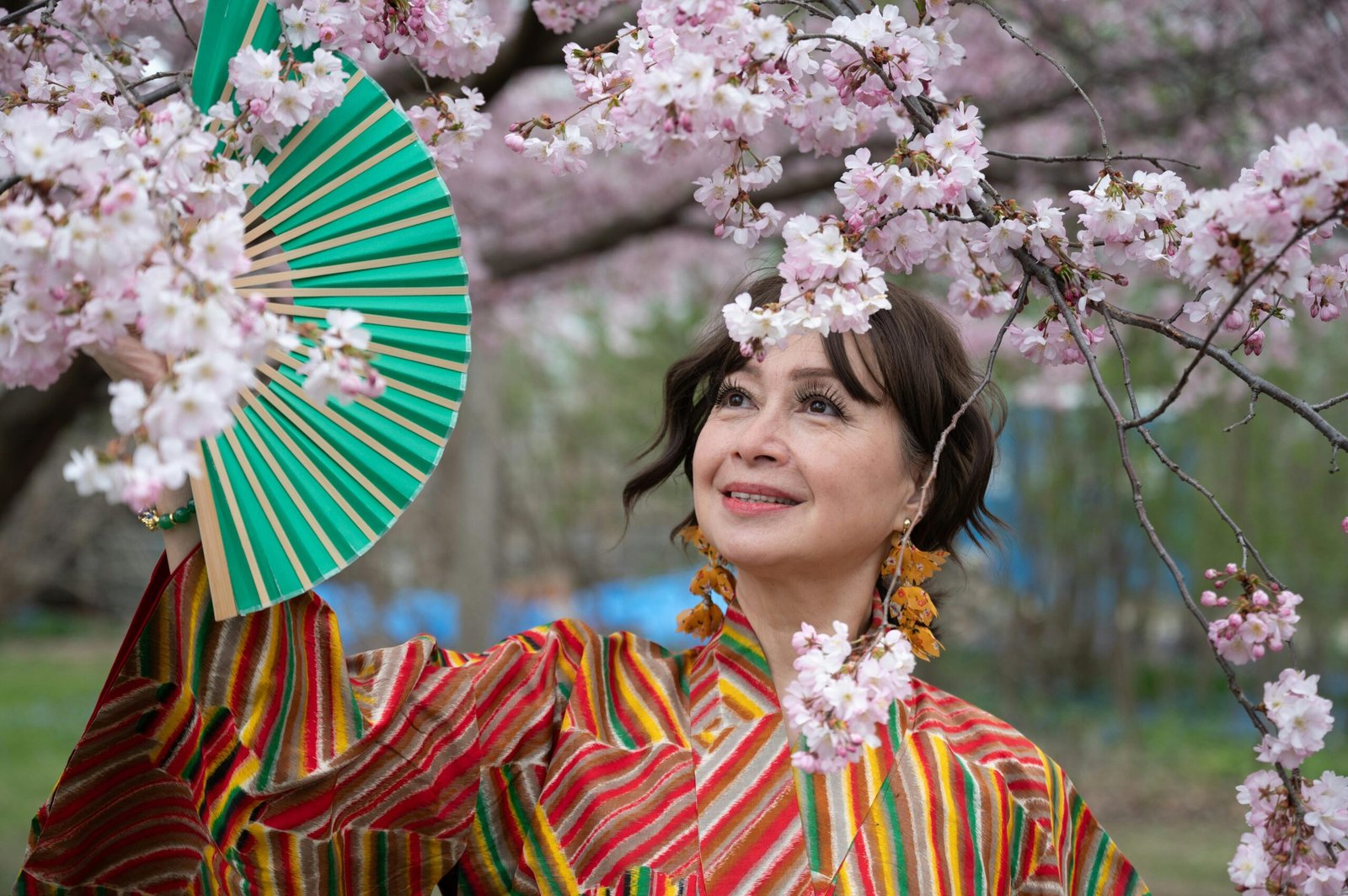 Top 10 Places to See Cherry Blossoms in Japan