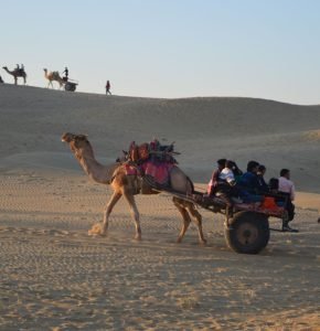 The Best Ways to Travel Across India