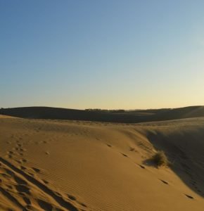 Sam Sand Dunes