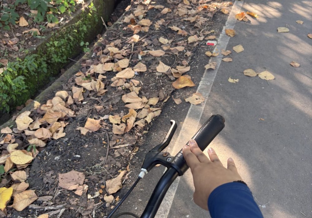 Exploring Sanjay Gandhi National Park