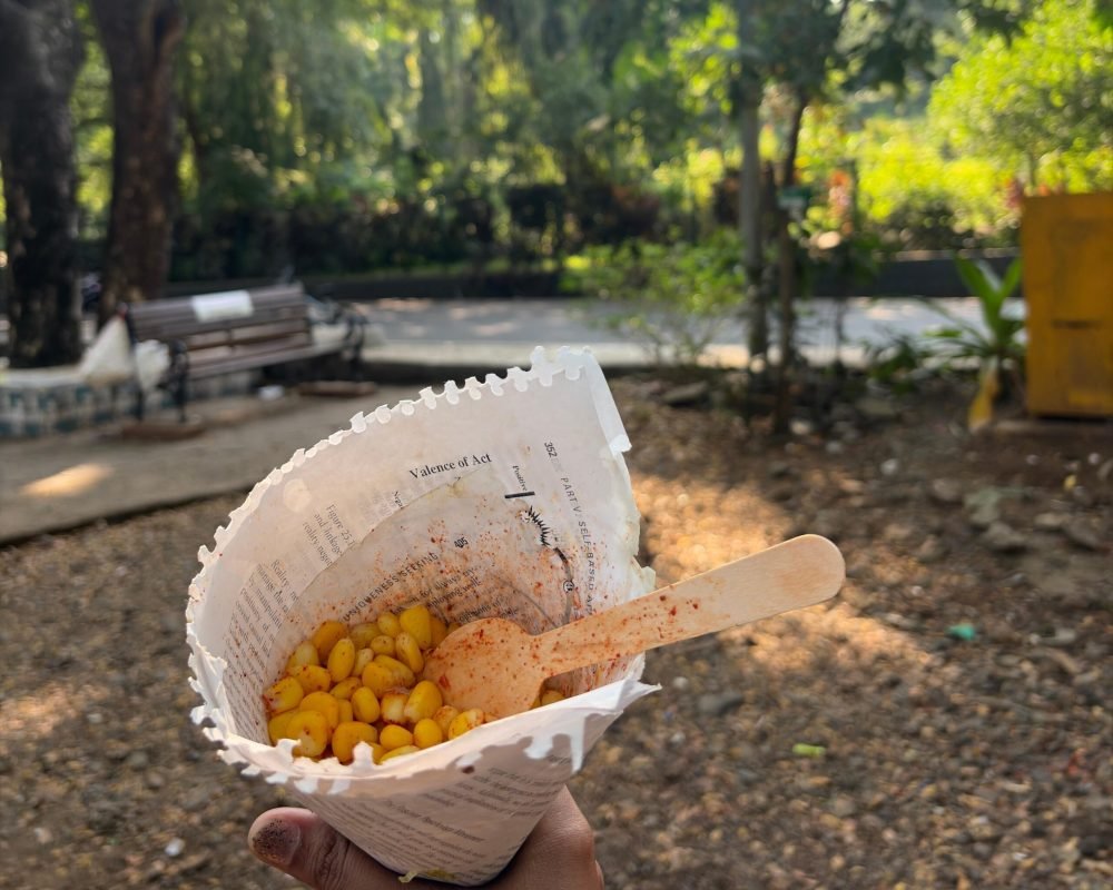 Discover the Beauty of Sanjay Gandhi National Park