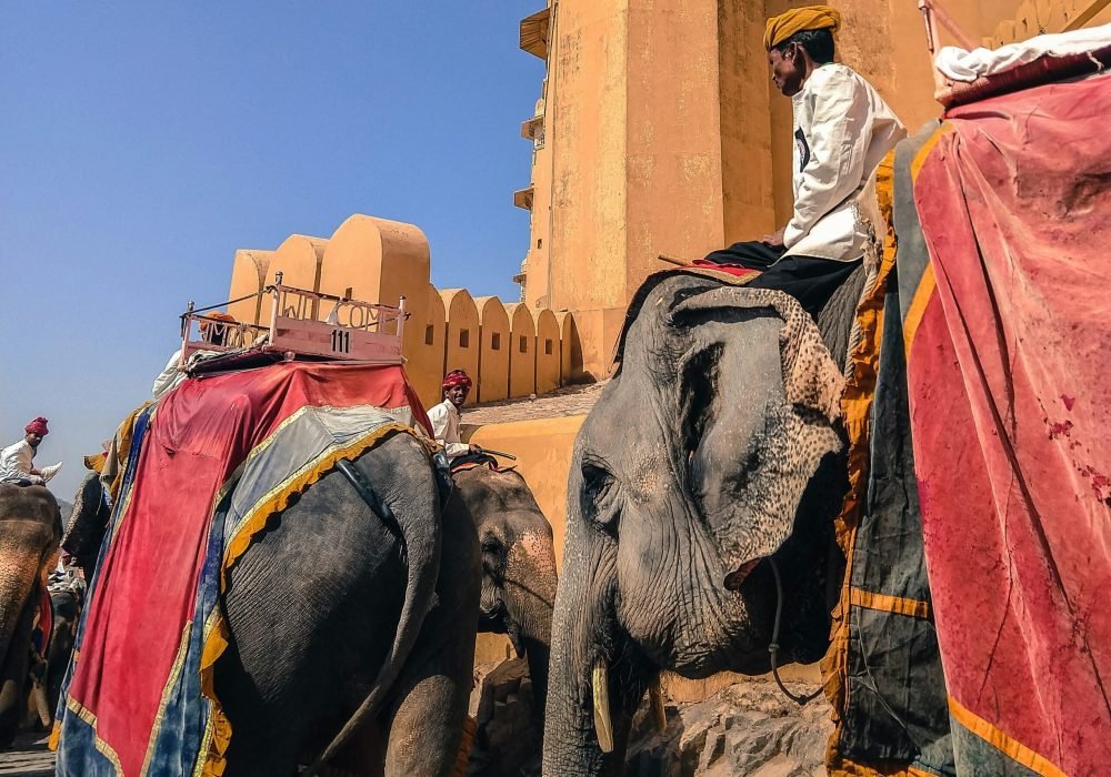 How to Explore Rajasthan on a Budget