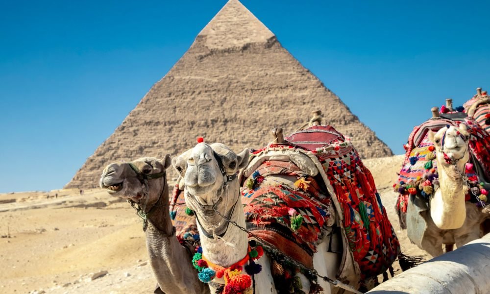 Best Travel Insurance Plans for Egypt