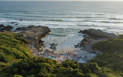 Things Know Before Traveling to South Africa