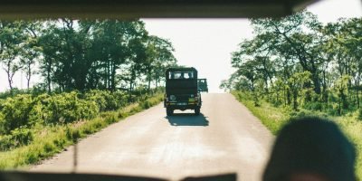 Best Things to Do in South Africa