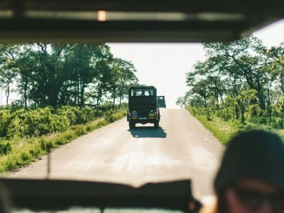 Best Things to Do in South Africa