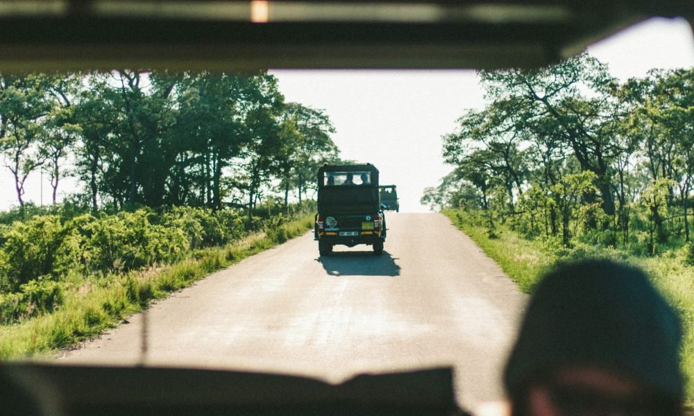 Best Things to Do in South Africa