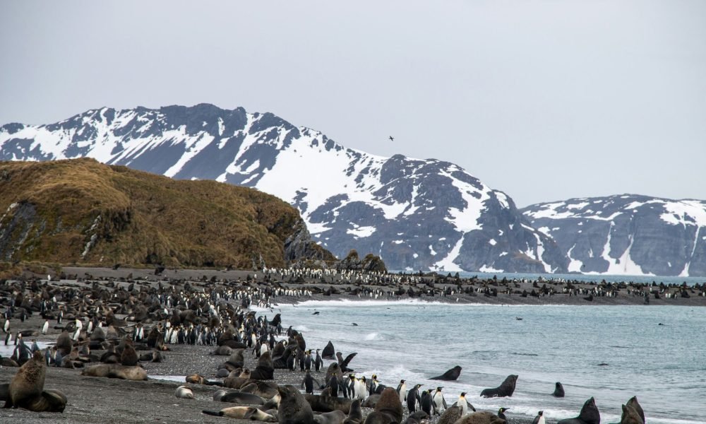 10 Remote Islands for a Real Break