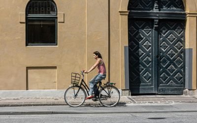 Shop Books Guide