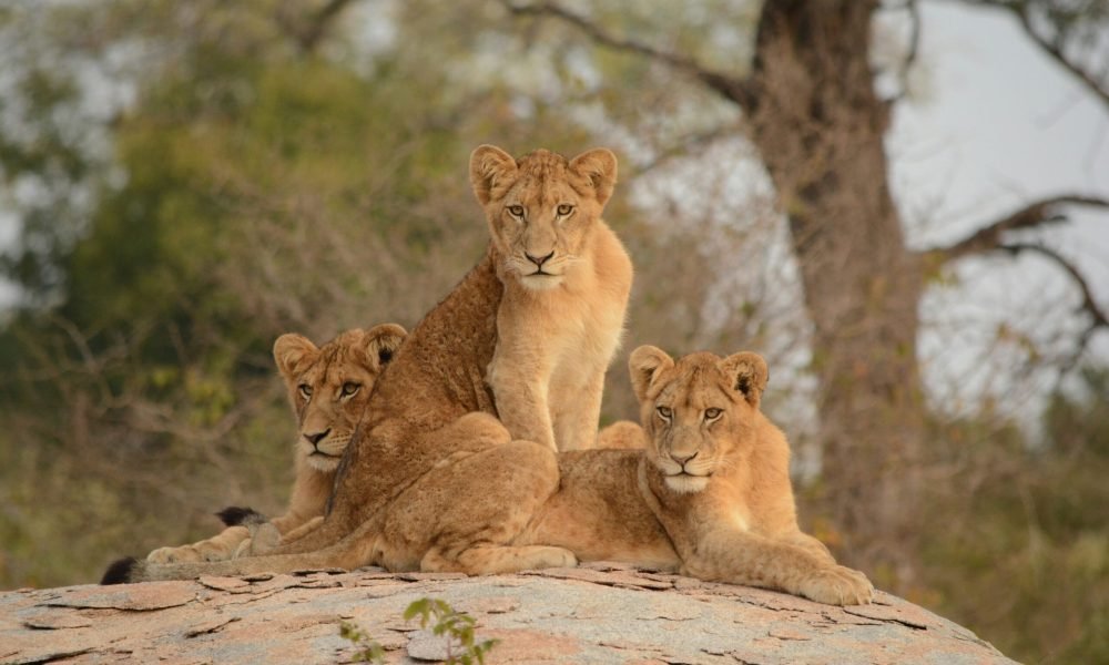 Best Places to visit in South Africa