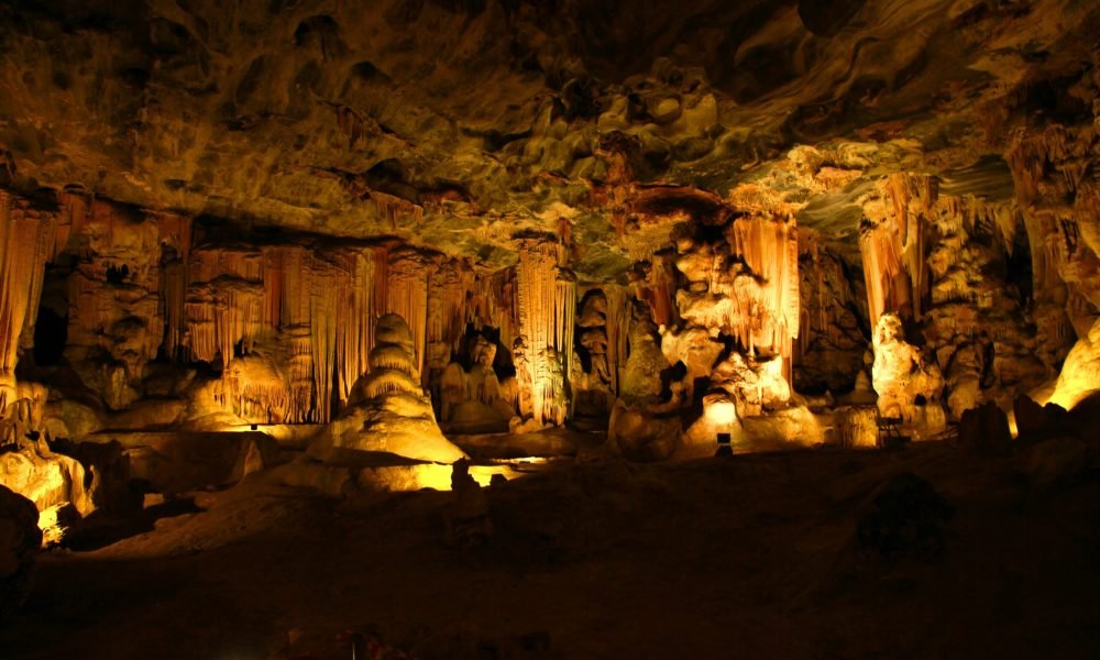 Best Things to Do in South Africa