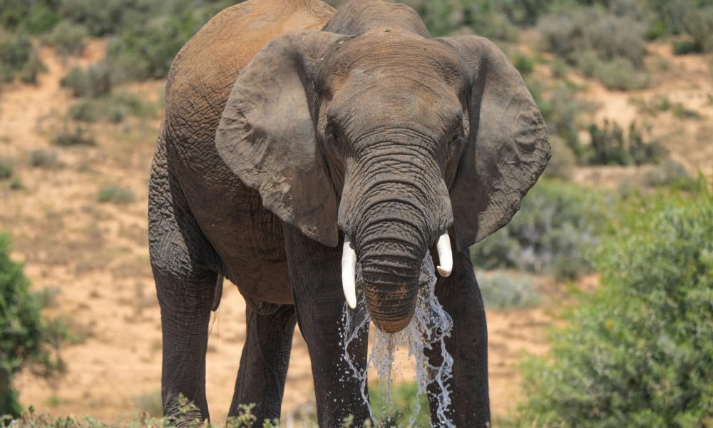 Best Places to visit in South Africa