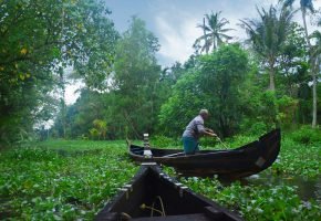 Alleppey Backwater