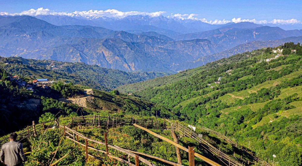 Tiger Hill