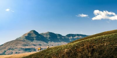 Drakensberg Mountains