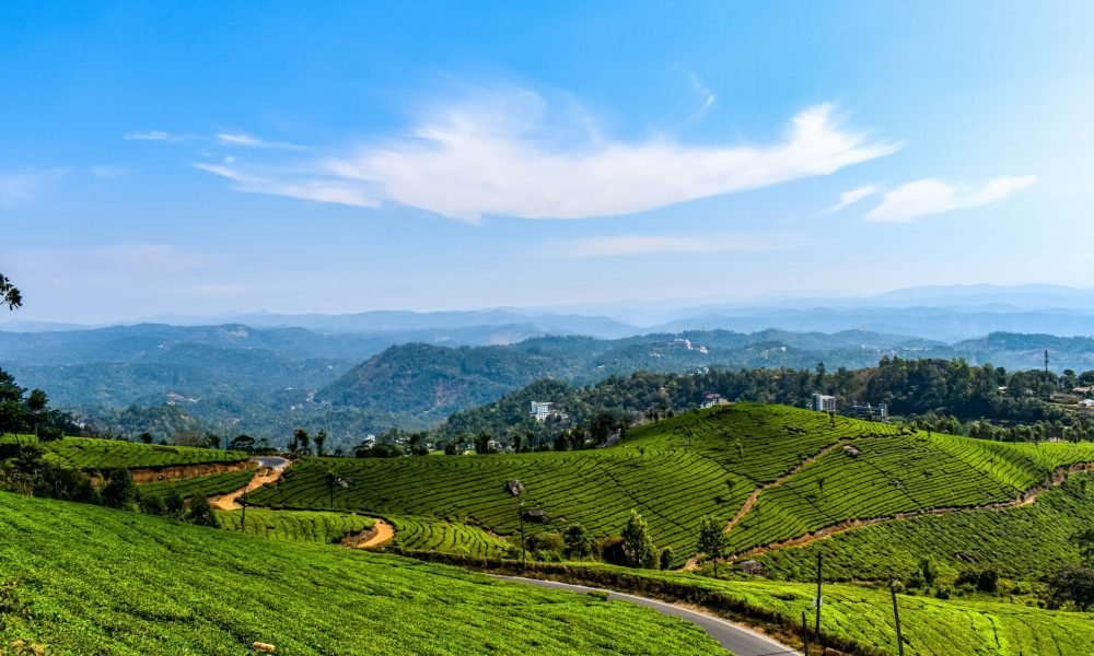 10 Best Things to Do in Kerala, India​
