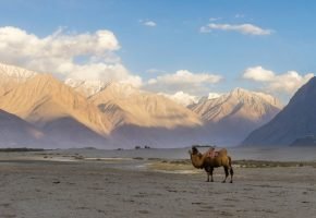Nubra Valley