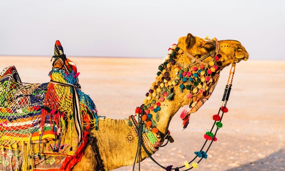 best places to visit in India