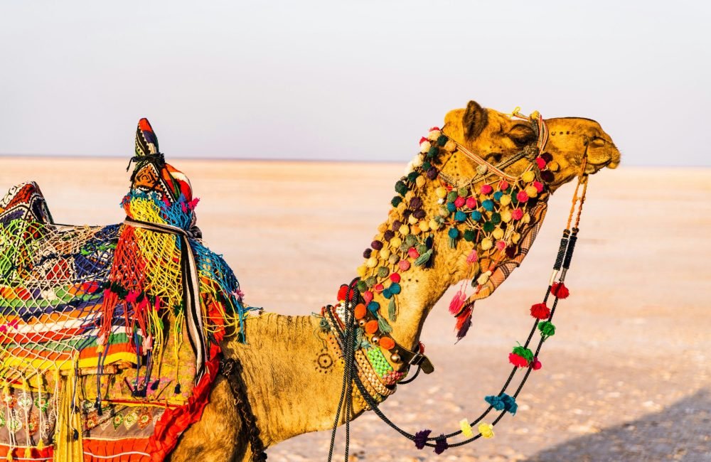 best places to visit in India