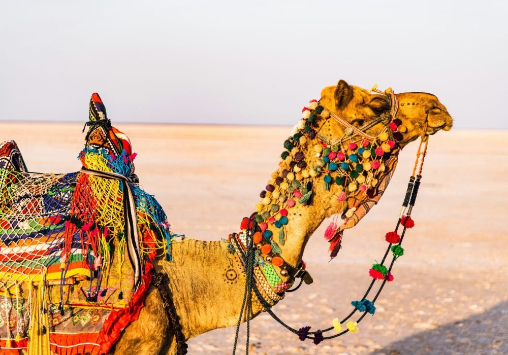 best places to visit in India