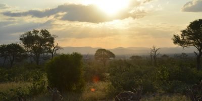 Kruger National Park