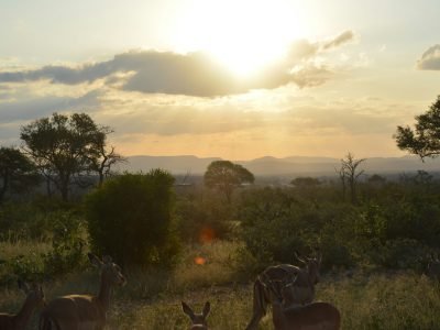 Kruger National Park