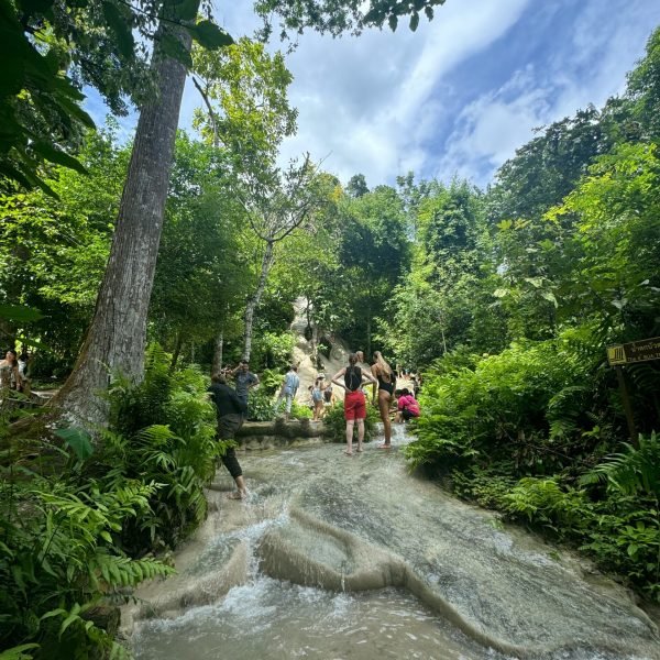 Best Travel Insurance Plans for Thailand
