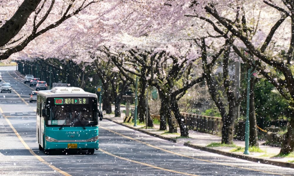 The 18 Best Ways to Travel Across Japan