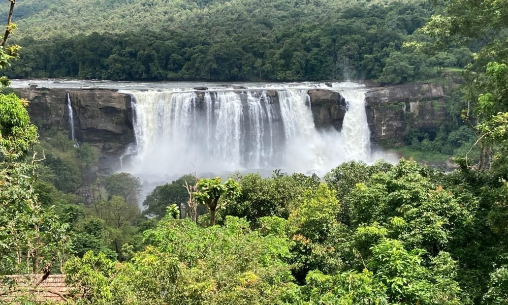 10 Best Things to Do in Kerala, India​