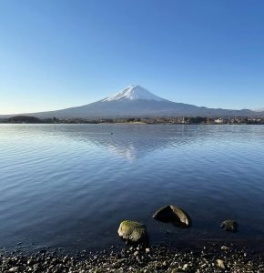 12 Best Travel Insurance Plans for Japan