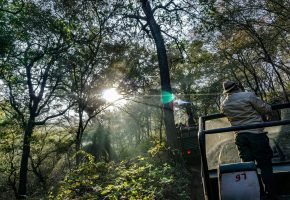Ranthambore National Park