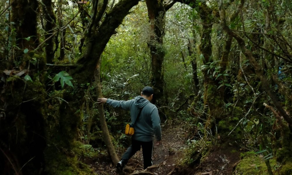 10 best places to visit in Malaysia