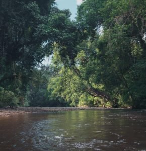 Taman Negara