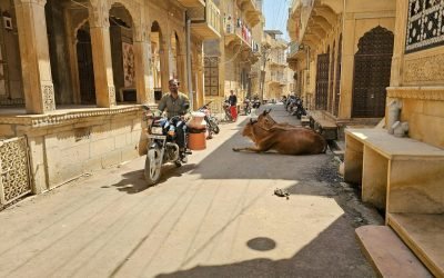 How to Explore Rajasthan on a Budget