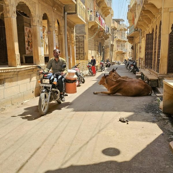 How to Explore Rajasthan on a Budget