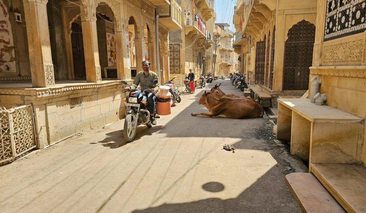 How to Explore Rajasthan on a Budget